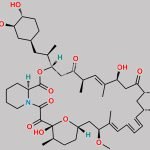 27-demethoxyrapamycin CAS#: 83482-58-0