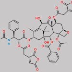 2',7-Di-cis-aconityl-Docetaxel CAS#: N/A