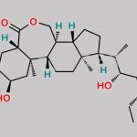 28-Homobrassinolide CAS#: 82373-95-3