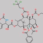 (2'R,3'S)-7,10-di-Troc-Docetaxel CAS#: 151636-78-1
