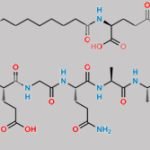 [3-31]-Liraglutide CAS#: N/A