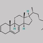 3-Beta-7-Dehydro Cholesterol CAS#: 434-16-2