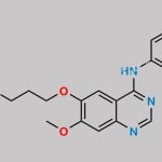 3-Deschloro-3,4-Difluoro Gefitinib CAS#: 184475-50-1