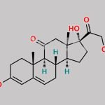 3-Enol Ether Cortisone Acetate CAS#: 1852-65-9