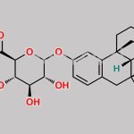 3-Hydroxymorphinan O-glucuronide CAS#: N/A