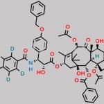 3’-P-O-Benzyl Paclitaxel-d5 CAS#: N/A