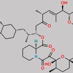 30-O-Desmethyl Everolimus CAS#: 745779-75-3