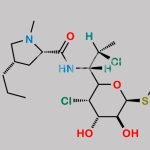 Clindamycin Impurity (4-Chloro) CAS#: N/A