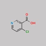 4-Chloronicotinic Acid CAS#: 10177-29-4