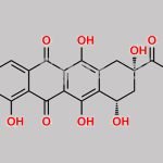4-Demethyl Daunomycinone CAS#: 52744-22-6