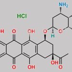 4-Demethyl Daunorubicin Hydrochloride CAS#: 52794-97-5