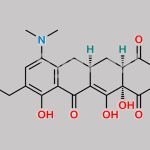 4-Desdimethylamine 4-Oxo Omadacycline CAS#: 885112-31-2