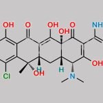 4-Epichlortetracycline Hydrochloride CAS#: 101342-45-4