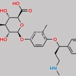 4'-Hydroxy Atomoxetine-D-glucuronide CAS#: 540729-08-6