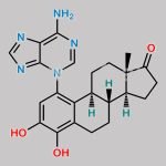 4-Hydroxy Estrone 1-N3-Adenine CAS#: 488841-24-3