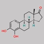 4-Hydroxy Estrone CAS#: 3131-23-5