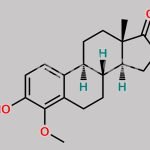 4-Methoxy Estrone CAS#: 58562-33-7