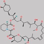 40-Oxorapamycin CAS#: 136293-03-3