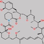 44-Ene-Rapamycin CAS#: N/A