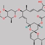 4,8a-dihydroxy-avermectin B1a CAS#: N/A