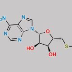 5'-Deoxy-5'-(methylthio)adenosine CAS#: 2457-80-9
