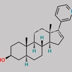 5,6-Dihydroabiraterone CAS#: 219843-75-1