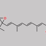 5,6-Epoxy-All-Trans-Retinoic Acid CAS#: 13100-69-1