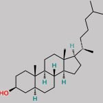 5a-Cholestan-3b-ol CAS#: 80-97-7