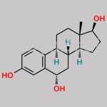 6-Alpha Hydroxyestradiol CAS#: 1229-24-9