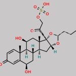 6-Beta-Hydroxy Budesonide Sulfate CAS#: N/A