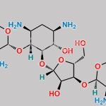 6'''-deamino-6'''-hydroxyneomycin B CAS#: 78524-73-9