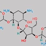 6'''-Deamino-6'''-hydroxyneomycin C CAS#: 78549-66-3