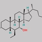 6-Epi-Obeticholic Acid CAS#: 915038-27-6