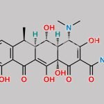 Doxycycline EP Impurity A (HCl) CAS#: 41411-66-9