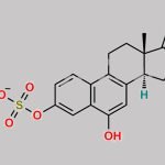 6-Hydroxyoquilenin Sulfate CAS#: N/A