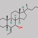 6-Vinyl Chenodeoxycholic Acid CAS#: 1908444-27-8