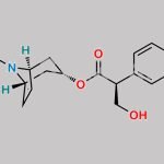 6,7-Dehydrohyoscyamine CAS#: 61616-97-5