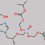 6N-Hydroxymethyl Tenofovir Disoproxil CAS#: 1244022-53-4
