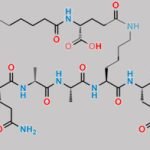 [7-31]-Liraglutide CAS#: N/A