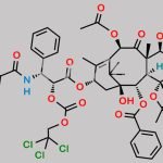 7-Acetyl Paclitaxel Trichloroethyl Ester CAS#: N/A