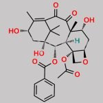 7-Epi-10-Oxo-10-Deacetyl Baccatin III CAS#: 151636-94-1