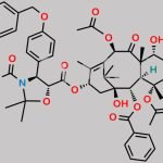 Paclitaxel Impurity 31 CAS#: N/A