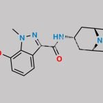 7-Hydroxy Granisetron CAS#: 133841-15-3