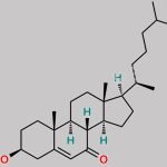 7-Ketocholesterol CAS#: 566-28-9