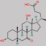 7-Ketodeoxycholic acid CAS#: 911-40-0