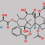 7-O-2,2-Dichloroethoxycarbonyl Docetaxel CAS#: 158810-72-1