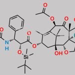 Paclitaxel Impurity 42 CAS#: N/A