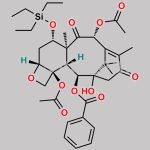 7-Triethylsilyl-13-Oxobaccatin III CAS#: 150665-56-8