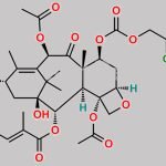 7-Troc-2-Debenzoyl-2-Pentenate Baccatin-III CAS#: N/A