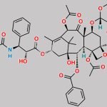 7-​Xylosyltaxol CAS#: 90332-66-4